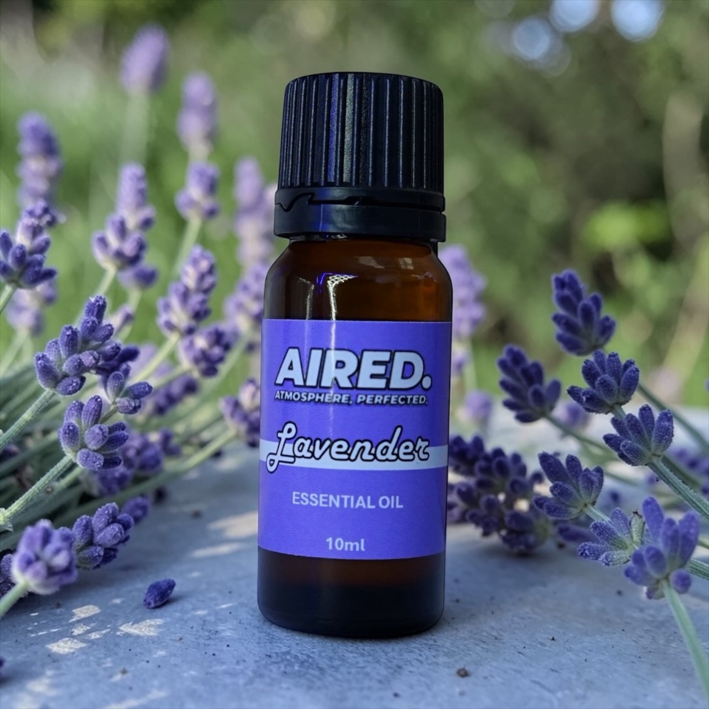 AIRED. Lavender Scented Essential Oil / Aromatherapy Oil (10ml)
